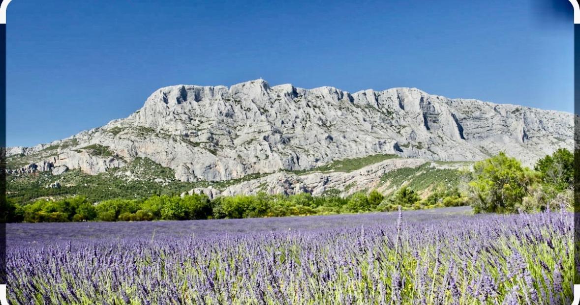 Joli Studio Le Clos D'Aix Avec Grande Terrasse Piscine Et Parking Gratuit Aix-en-Provence Zewnętrze zdjęcie